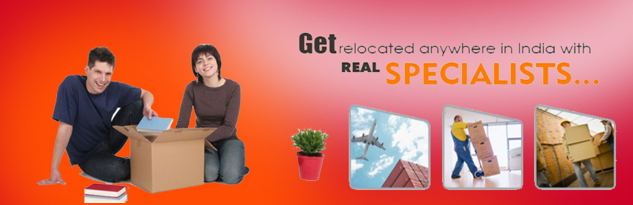 Metro Domestic Packers and Movers Metro Domestic Packers and Movers