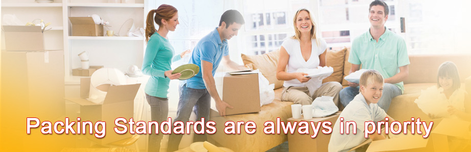 Metro Domestic Packers and Movers bootstrap slider