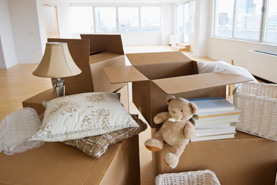 Metro Domestic packers and mov ers